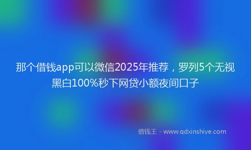 那个借钱app可以微信2025年推荐，罗列5个无视黑白100%秒下网贷小额夜间口子