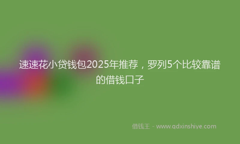速速花小贷钱包2025年推荐，罗列5个比较靠谱的借钱口子