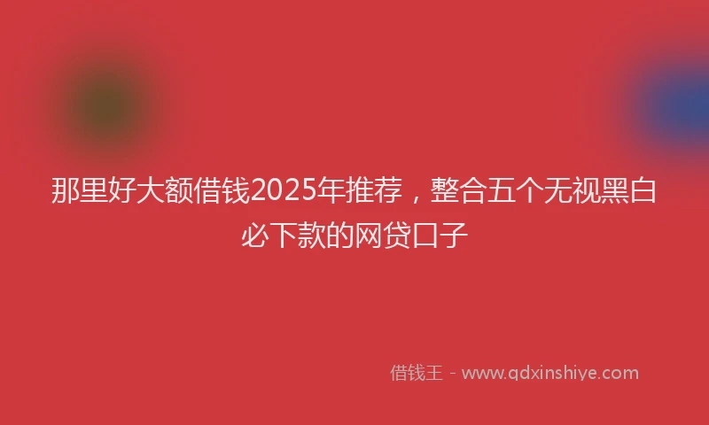 那里好大额借钱2025年推荐，整合五个无视黑白必下款的网贷口子