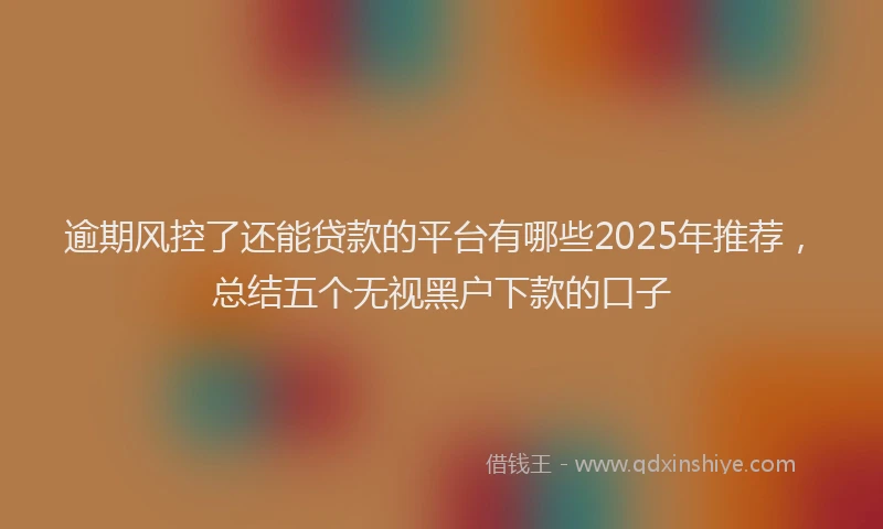 逾期风控了还能贷款的平台有哪些2025年推荐，总结五个无视黑户下款的口子