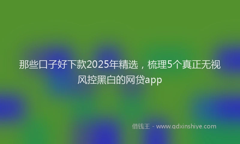 那些口子好下款2025年精选，梳理5个真正无视风控黑白的网贷app