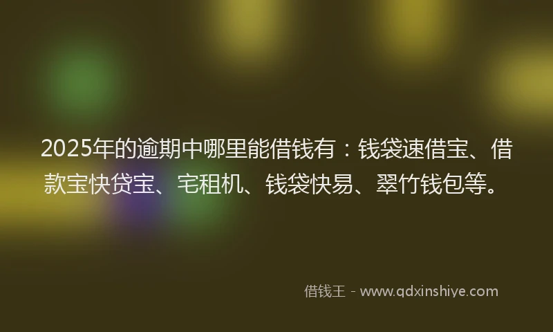 2025年的逾期中哪里能借钱有：钱袋速借宝、借款宝快贷宝、宅租机、钱袋快易、翠竹钱包等。