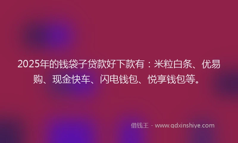 2025年的钱袋子贷款好下款有：米粒白条、优易购、现金快车、闪电钱包、悦享钱包等。
