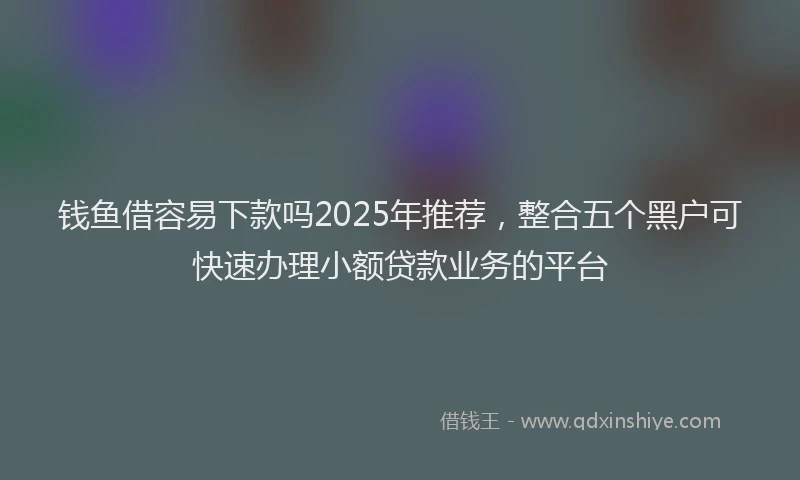 钱鱼借容易下款吗2025年推荐，整合五个黑户可快速办理小额贷款业务的平台