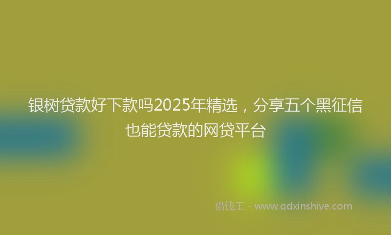 银树贷款好下款吗2025年精选，分享五个黑征信也能贷款的网贷平台