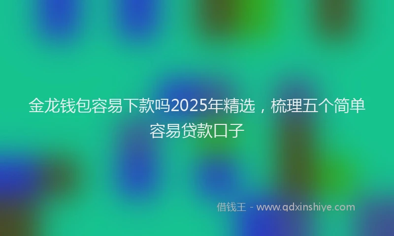 金龙钱包容易下款吗2025年精选，梳理五个简单容易贷款口子