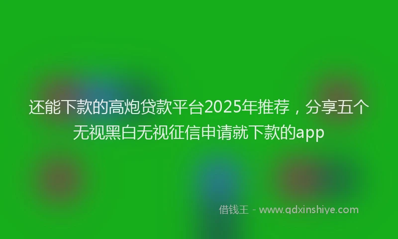 还能下款的高炮贷款平台2025年推荐，分享五个无视黑白无视征信申请就下款的app