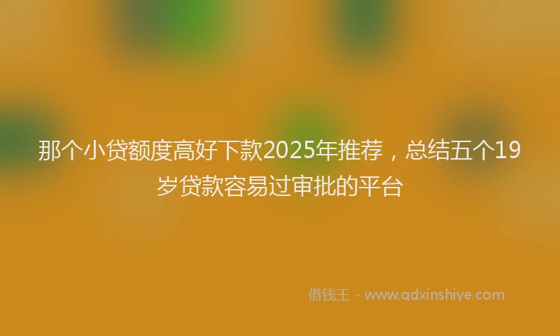 那个小贷额度高好下款2025年推荐，总结五个19岁贷款容易过审批的平台