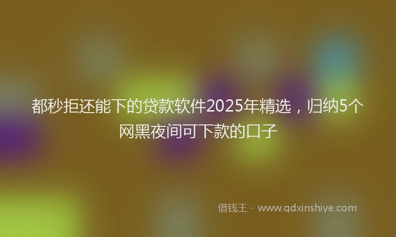 都秒拒还能下的贷款软件2025年精选，归纳5个网黑夜间可下款的口子