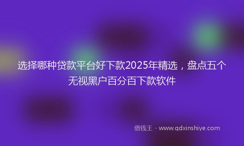 选择哪种贷款平台好下款2025年精选，盘点五个无视黑户百分百下款软件