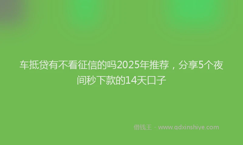 车抵贷有不看征信的吗2025年推荐，分享5个夜间秒下款的14天口子
