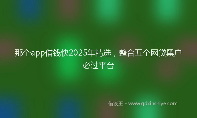 那个app借钱快2025年精选，整合五个网贷黑户必过平台