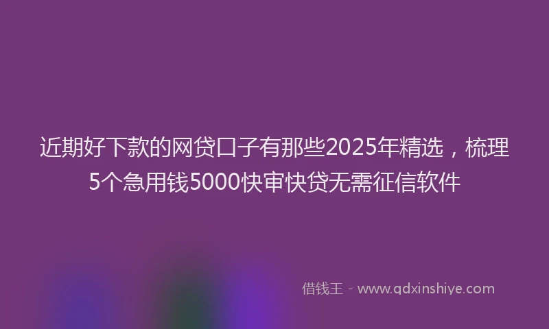 近期好下款的网贷口子有那些2025年精选，梳理5个急用钱5000快审快贷无需征信软件