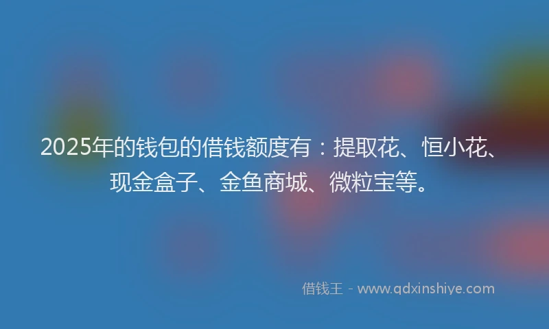 2025年的钱包的借钱额度有：提取花、恒小花、现金盒子、金鱼商城、微粒宝等。
