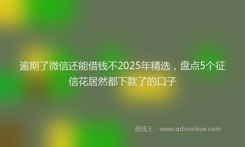 逾期了微信还能借钱不2025年精选，盘点5个征信花居然都下款了的口子