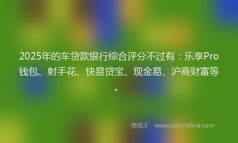 2025年的车贷款银行综合评分不过有：乐享Pro钱包、射手花、快易贷宝、现金易、沪商财富等。