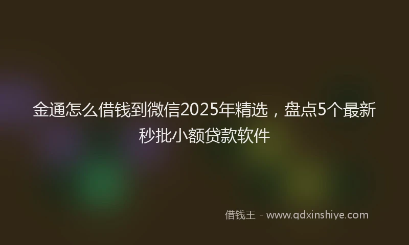 金通怎么借钱到微信2025年精选，盘点5个最新秒批小额贷款软件
