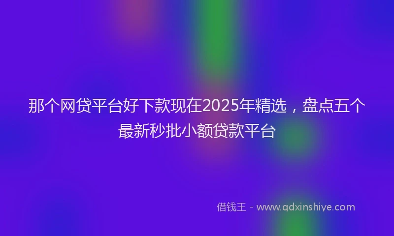 那个网贷平台好下款现在2025年精选，盘点五个最新秒批小额贷款平台