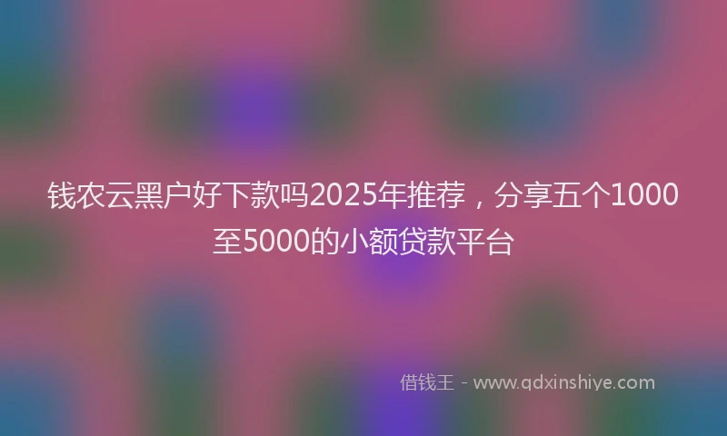 钱农云黑户好下款吗2025年推荐，分享五个1000至5000的小额贷款平台