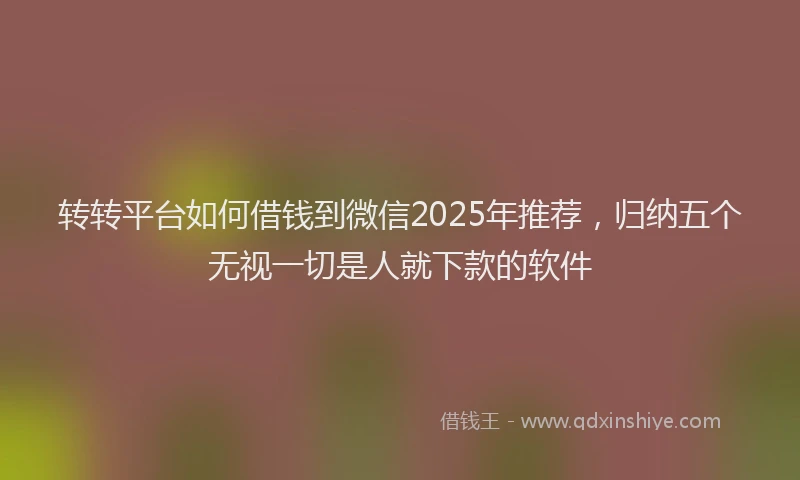 转转平台如何借钱到微信2025年推荐，归纳五个无视一切是人就下款的软件