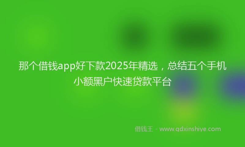 那个借钱app好下款2025年精选，总结五个手机小额黑户快速贷款平台