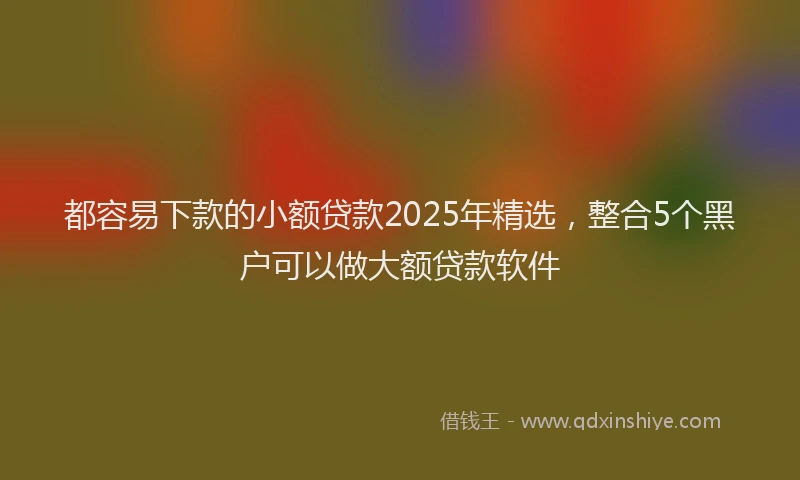 都容易下款的小额贷款2025年精选，整合5个黑户可以做大额贷款软件
