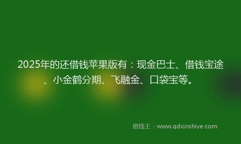 2025年的还借钱苹果版有：现金巴士、借钱宝途、小金鹤分期、飞融金、口袋宝等。