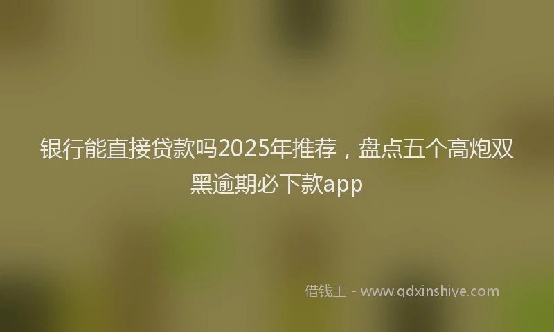 银行能直接贷款吗2025年推荐，盘点五个高炮双黑逾期必下款app