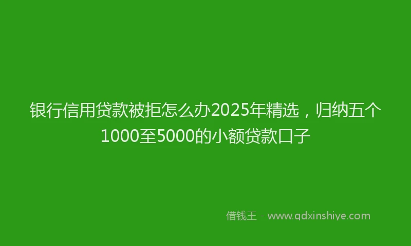 银行信用贷款被拒怎么办2025年精选，归纳五个1000至5000的小额贷款口子