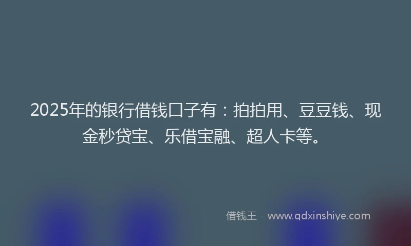 2025年的银行借钱口子有：拍拍用、豆豆钱、现金秒贷宝、乐借宝融、超人卡等。