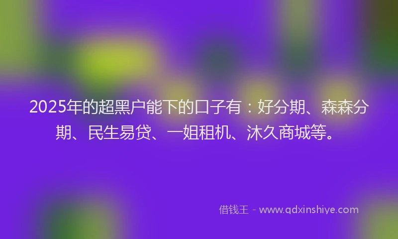 2025年的超黑户能下的口子有：好分期、森森分期、民生易贷、一姐租机、沐久商城等。