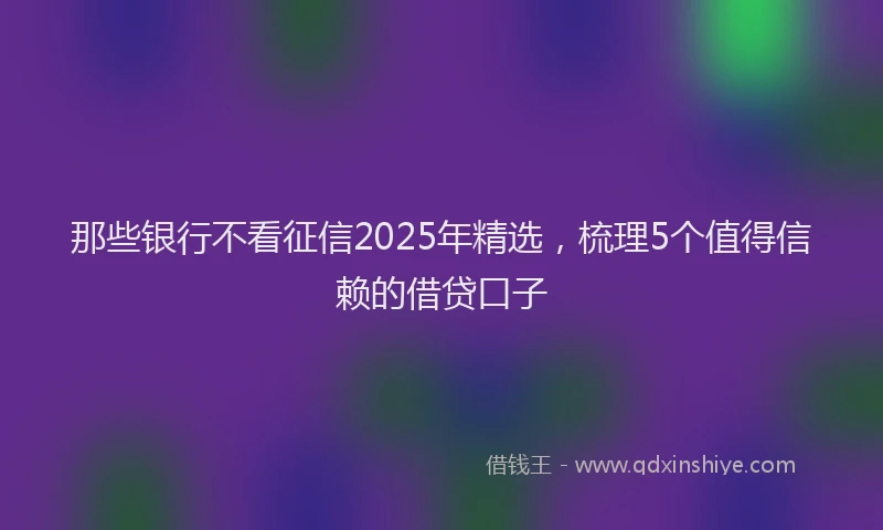 那些银行不看征信2025年精选，梳理5个值得信赖的借贷口子