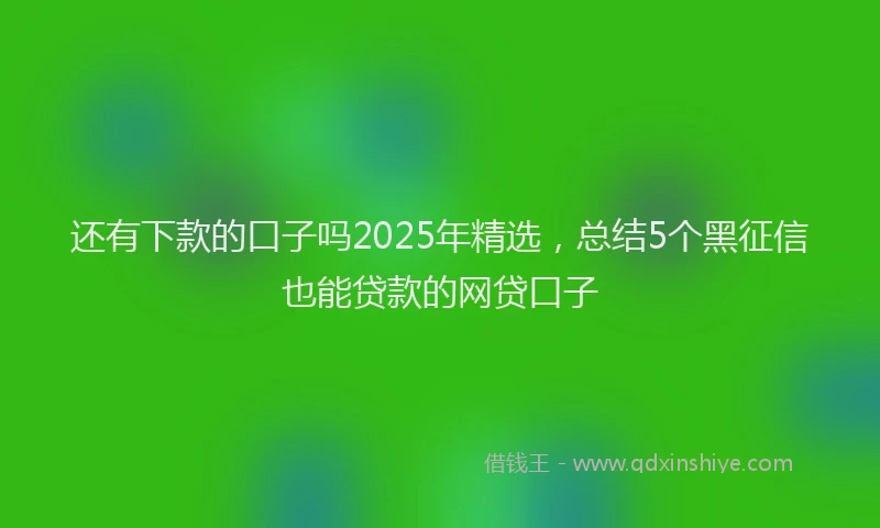还有下款的口子吗2025年精选，总结5个黑征信也能贷款的网贷口子