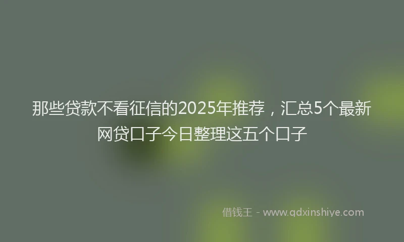那些贷款不看征信的2025年推荐，汇总5个最新网贷口子今日整理这五个口子