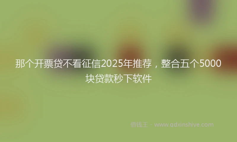 那个开票贷不看征信2025年推荐，整合五个5000块贷款秒下软件