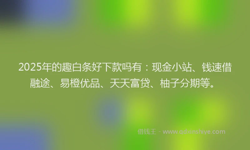 2025年的趣白条好下款吗有：现金小站、钱速借融途、易橙优品、天天富贷、柚子分期等。