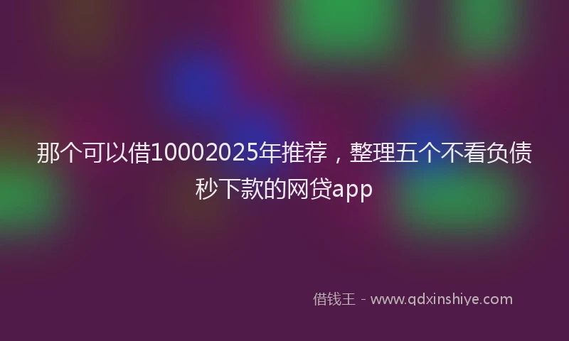 那个可以借10002025年推荐，整理五个不看负债秒下款的网贷app