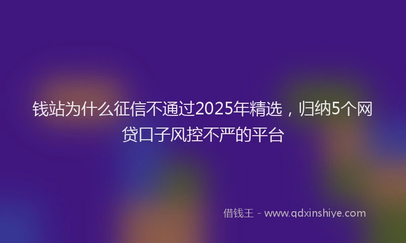 钱站为什么征信不通过2025年精选，归纳5个网贷口子风控不严的平台