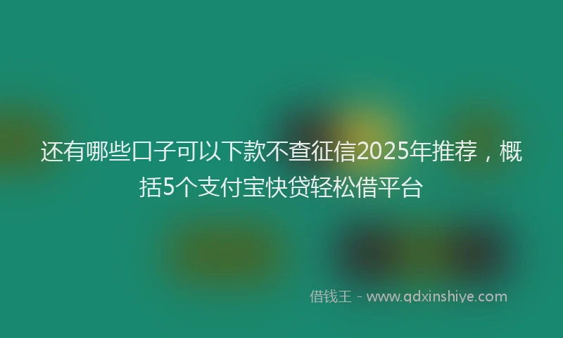 还有哪些口子可以下款不查征信2025年推荐，概括5个支付宝快贷轻松借平台