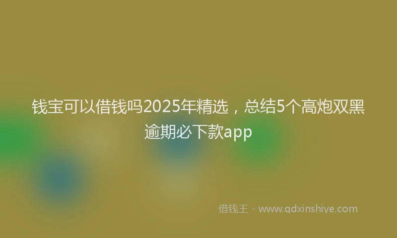 钱宝可以借钱吗2025年精选，总结5个高炮双黑逾期必下款app