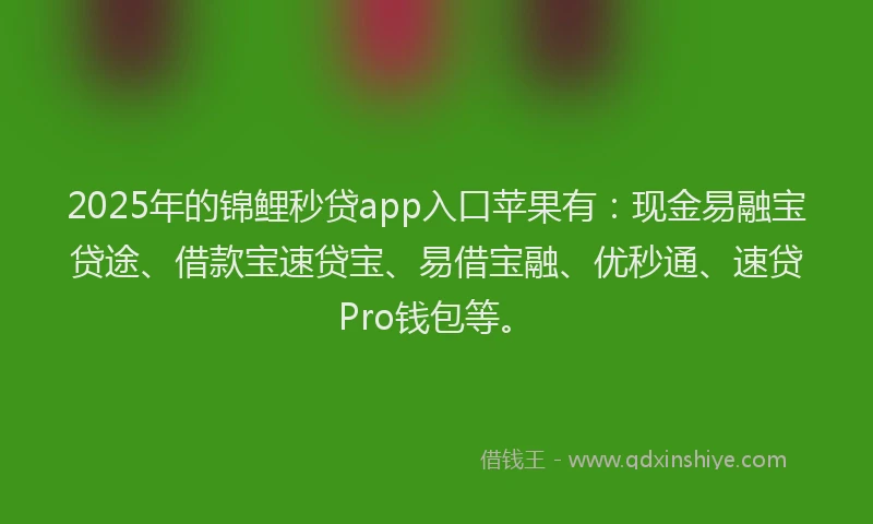 2025年的锦鲤秒贷app入口苹果有：现金易融宝贷途、借款宝速贷宝、易借宝融、优秒通、速贷Pro钱包等。