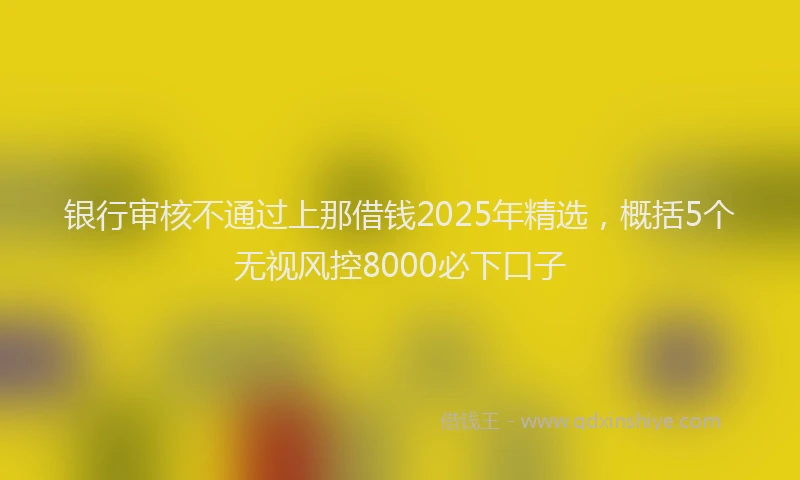 银行审核不通过上那借钱2025年精选，概括5个无视风控8000必下口子