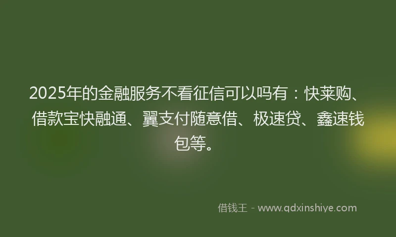 2025年的金融服务不看征信可以吗有：快莱购、借款宝快融通、翼支付随意借、极速贷、鑫速钱包等。