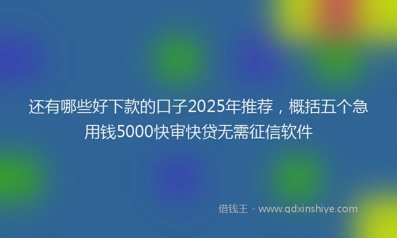 还有哪些好下款的口子2025年推荐，概括五个急用钱5000快审快贷无需征信软件