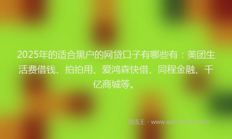 2025年的适合黑户的网贷口子有哪些有：美团生活费借钱、拍拍用、爱鸿森快借、同程金融、千亿商城等。