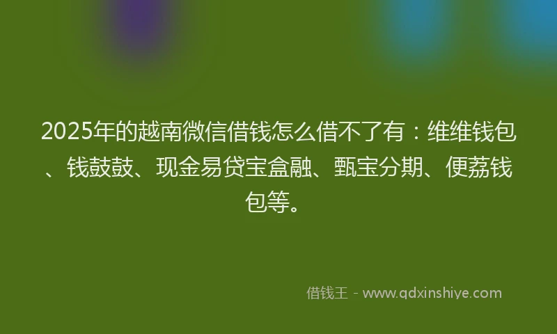 2025年的越南微信借钱怎么借不了有：维维钱包、钱鼓鼓、现金易贷宝盒融、甄宝分期、便荔钱包等。