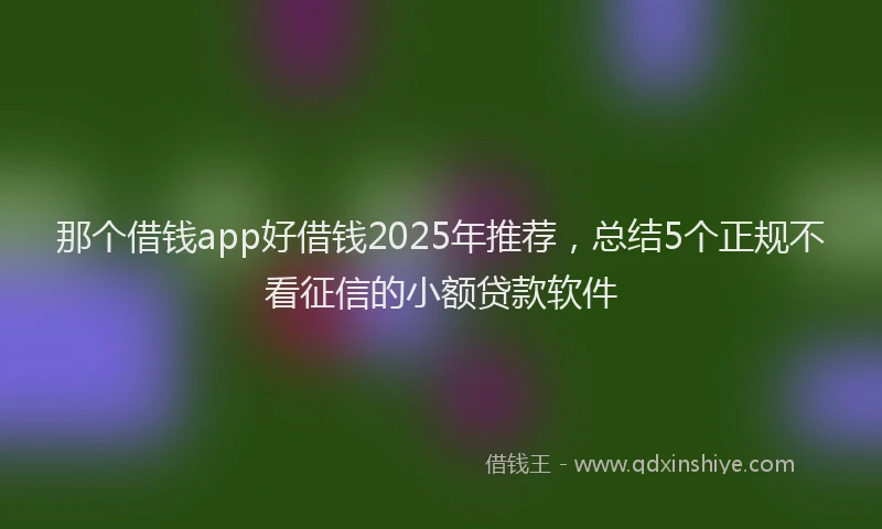那个借钱app好借钱2025年推荐，总结5个正规不看征信的小额贷款软件