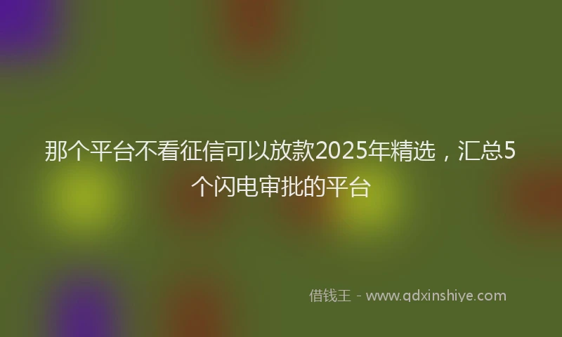 那个平台不看征信可以放款2025年精选，汇总5个闪电审批的平台