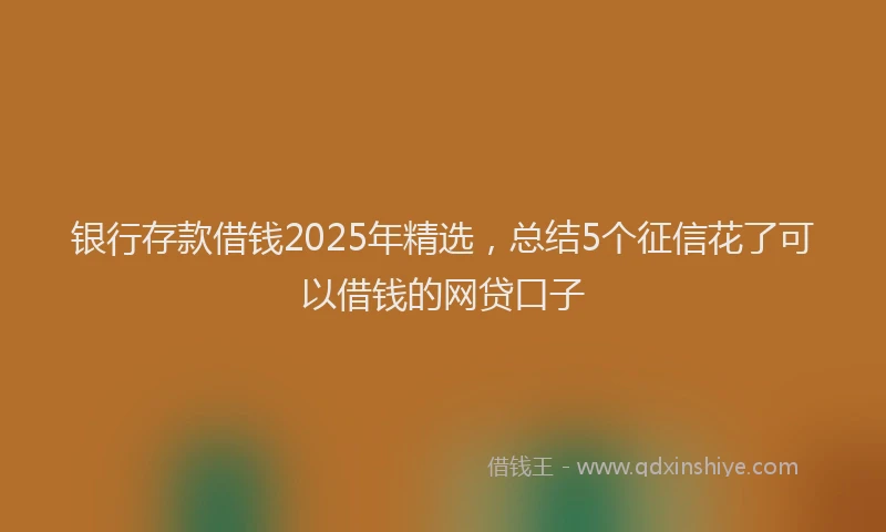 银行存款借钱2025年精选，总结5个征信花了可以借钱的网贷口子