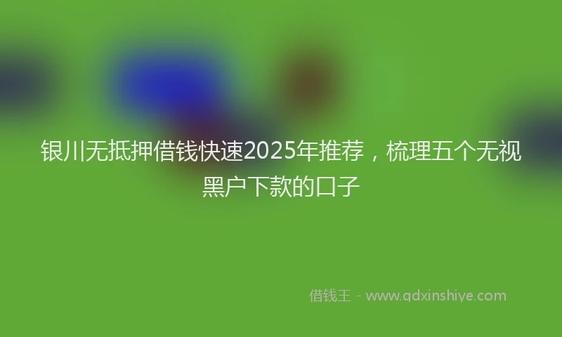 银川无抵押借钱快速2025年推荐，梳理五个无视黑户下款的口子